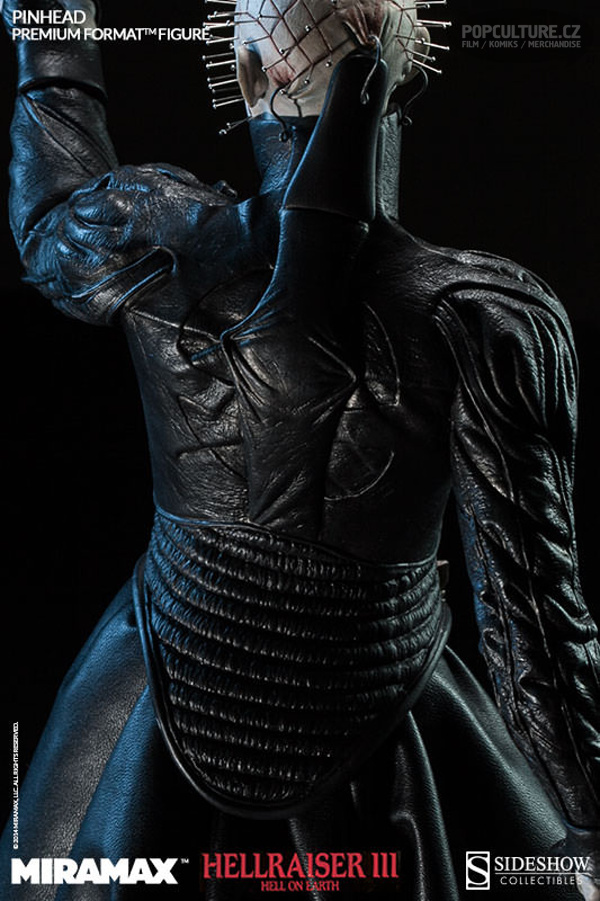 300074-pinhead-012