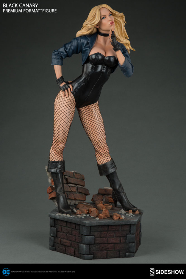 dc-comics-black-canary-premium-format-figure-300287-06