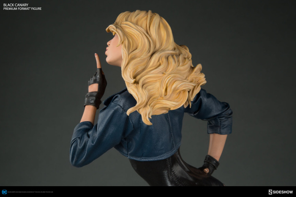 dc-comics-black-canary-premium-format-figure-300287-12