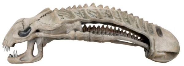 1200x-51645_alien-foam-skull1-1024x367