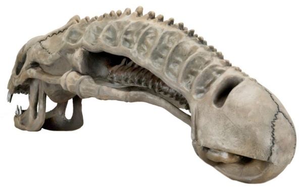 1200x-51645_alien-foam-skull4-1024x643