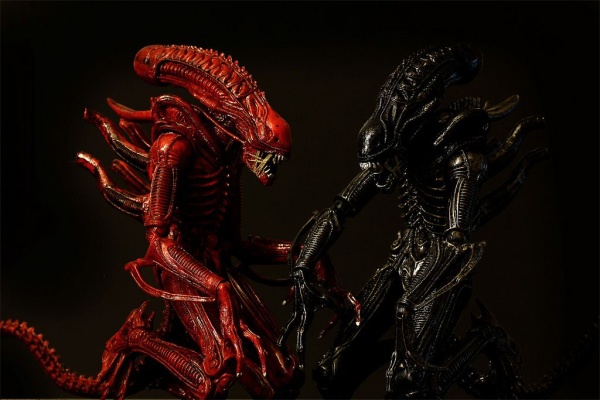 aliens-7-scale-action-figure-series-5-genocide-ali-1.jpg.big